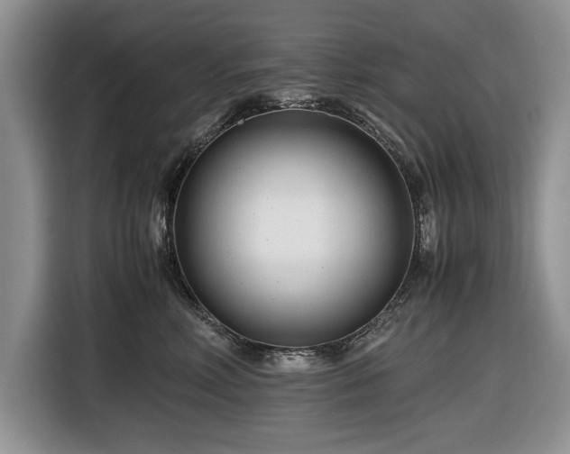 X0000116660618200912211508