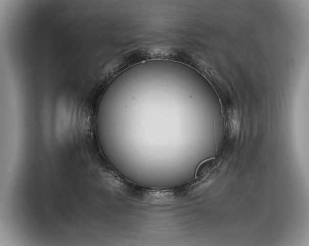 X0000116660619200912211508