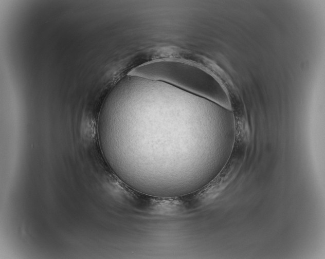 X0000116660621200912211508