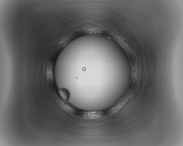 X0000116660622200912211508