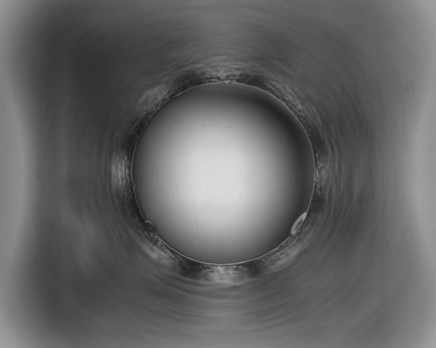 X0000116660623200912211508