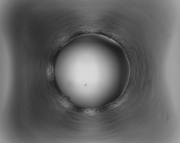 X0000116660624200912211508