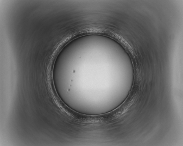 X0000116660625200912211508