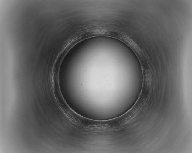 X0000116660626200912211508