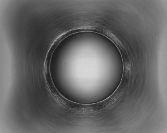 X0000116660628200912211508