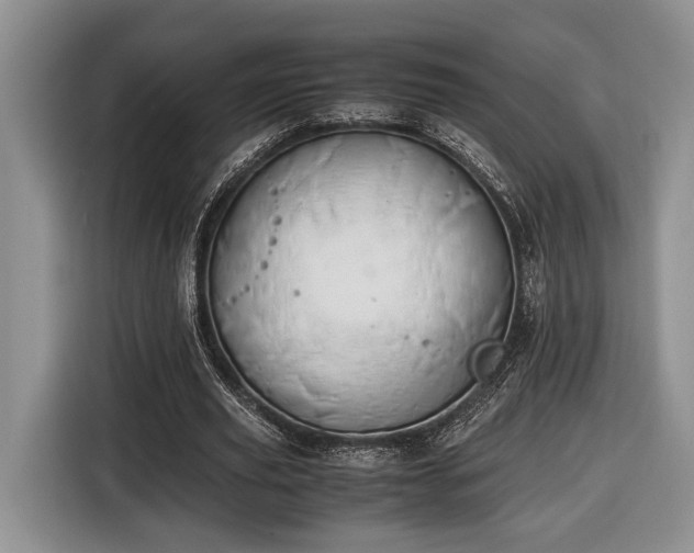 X0000116660629200912211508