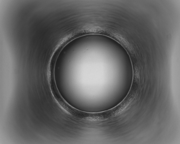 X0000116660630200912211508