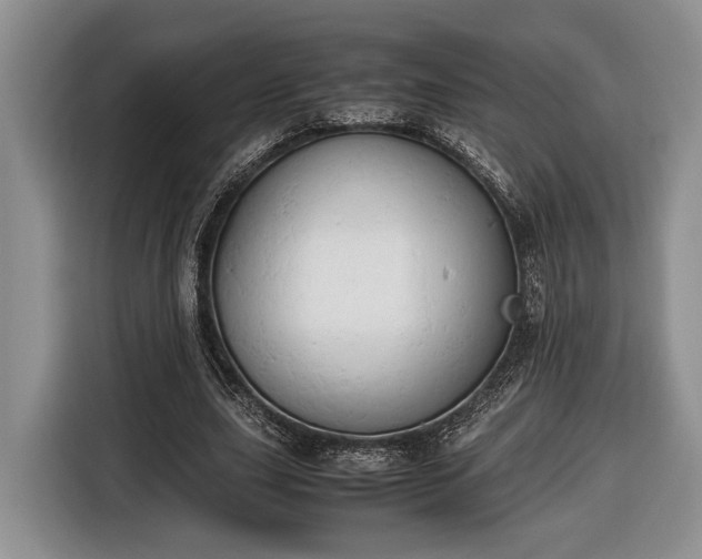 X0000116660631200912211508