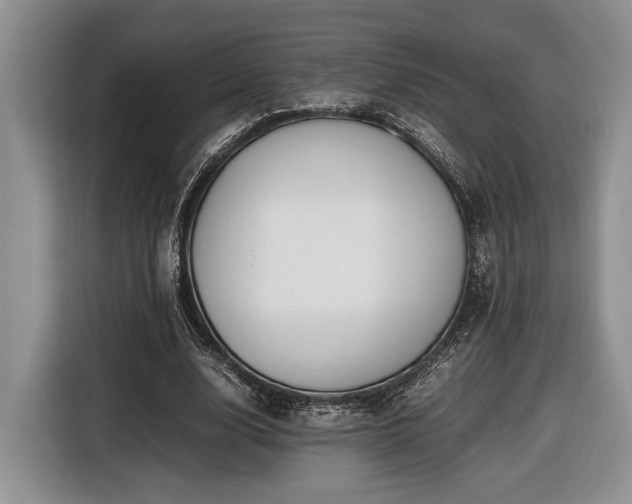 X0000116660632200912211508