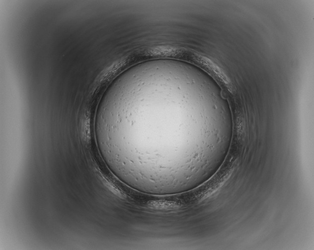 X0000116660633200912211508