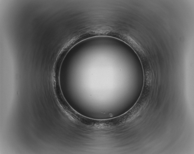 X0000116660634200912211508