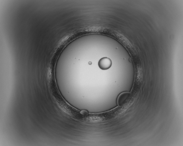 X0000116660636200912211508