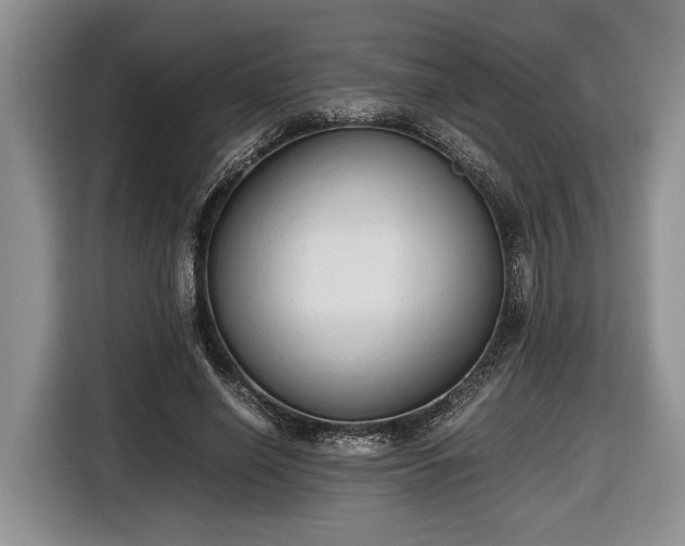 X0000116660638200912211508