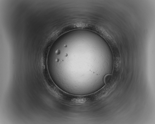 X0000116660639200912211508