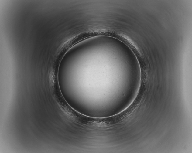 X0000116660640200912211508