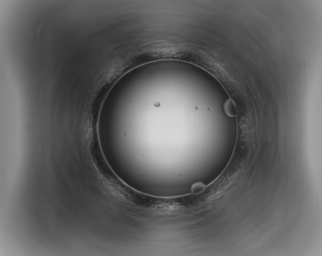 X0000116660642200912211508