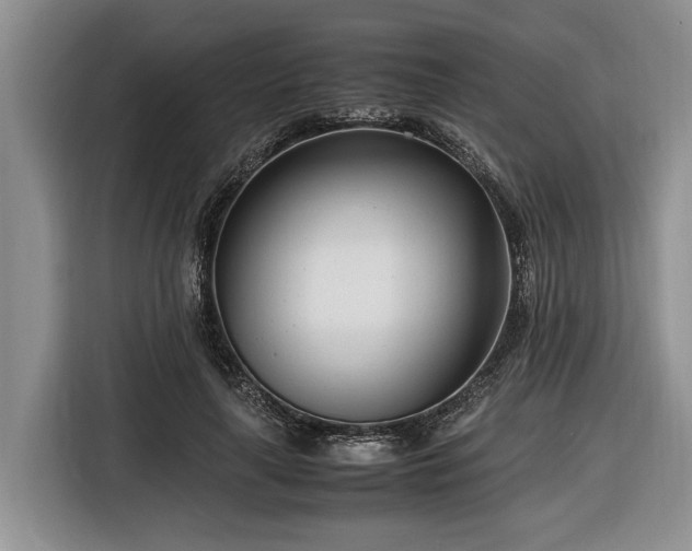 X0000116660643200912211508