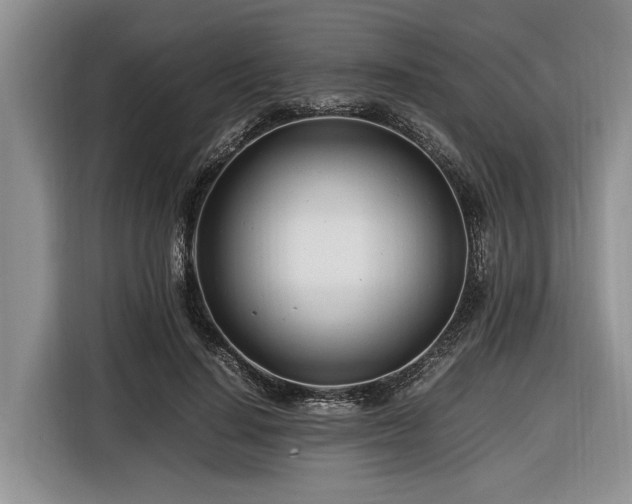 X0000116660644200912211508