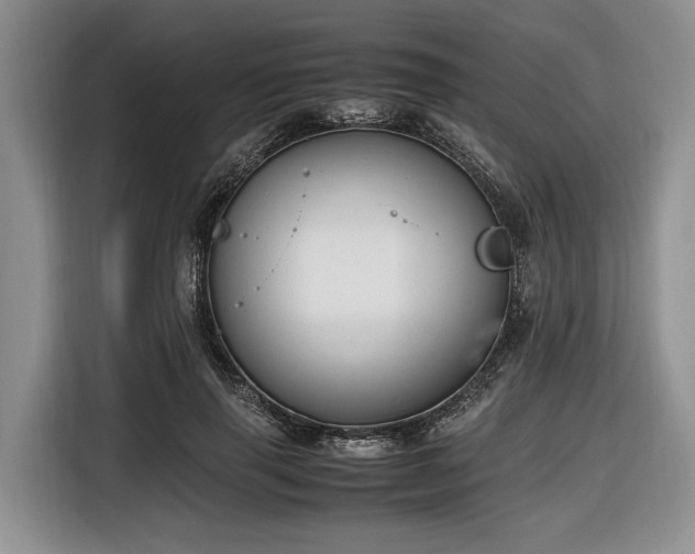 X0000116660645200912211508