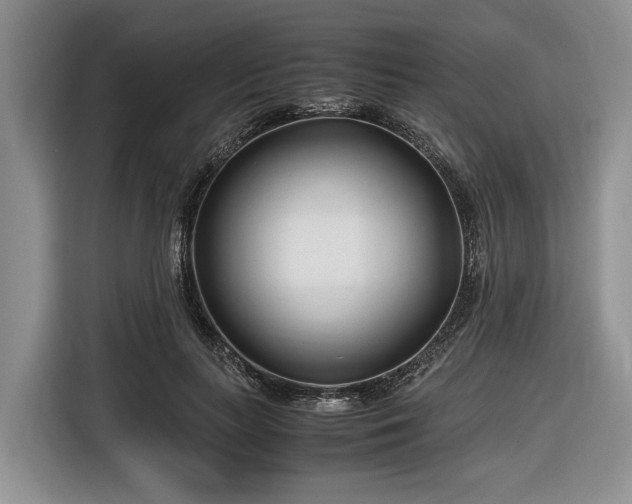 X0000116660647200912211508