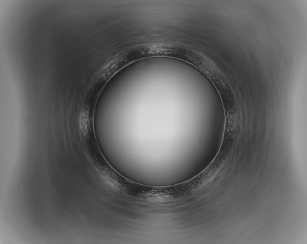 X0000116660648200912211508