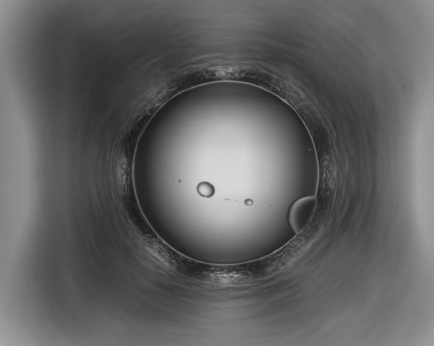 X0000116660650200912211508