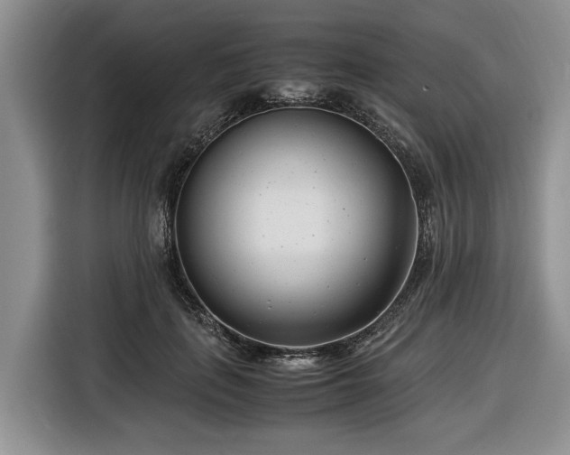 X0000116660651200912211508