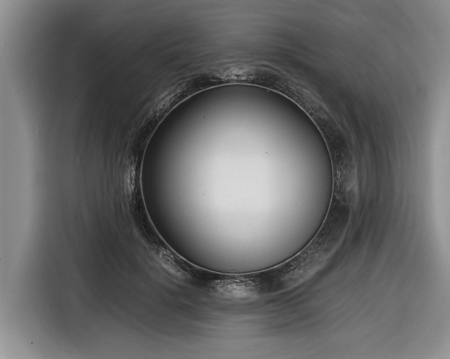 X0000116660652200912211508