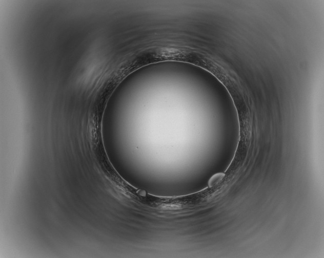 X0000116660653200912211508