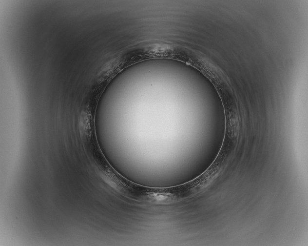 X0000116660654200912211508