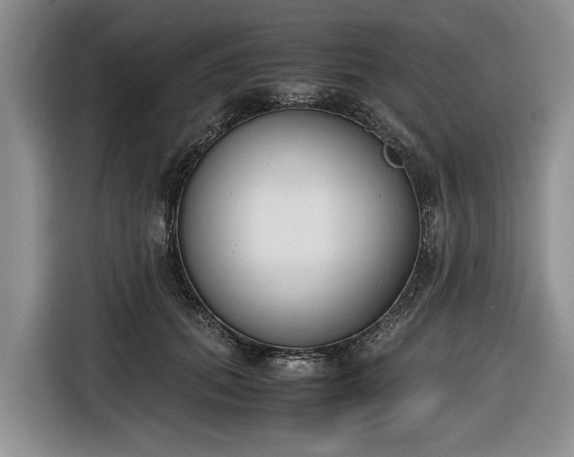 X0000116660655200912211508