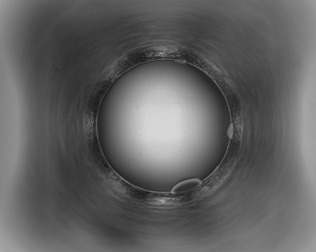 X0000116660657200912211508