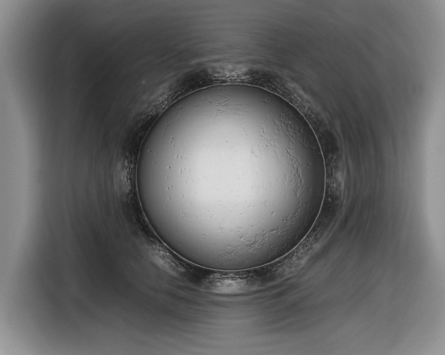 X0000116660658200912211508