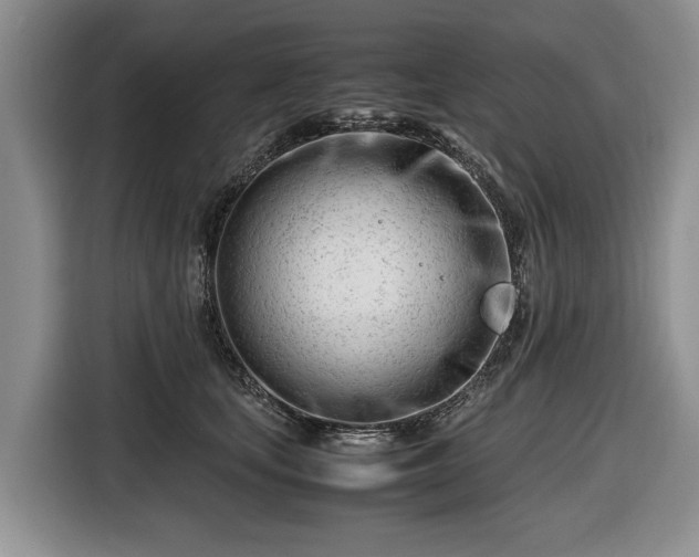 X0000116660659200912211508