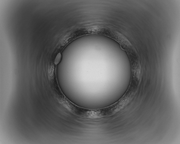 X0000116660660200912211508