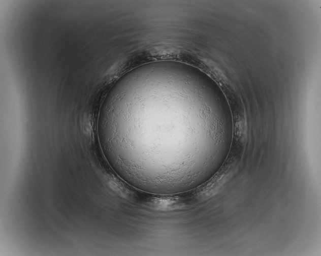 X0000116660662200912211508