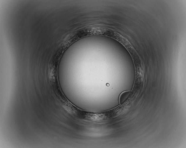 X0000116660663200912211508