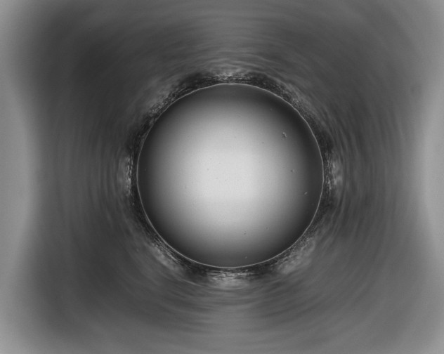 X0000116660664200912211508