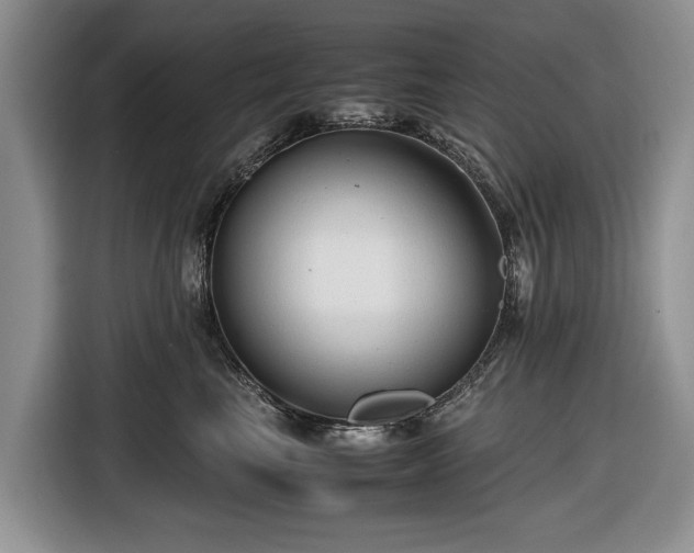 X0000116660665200912211508