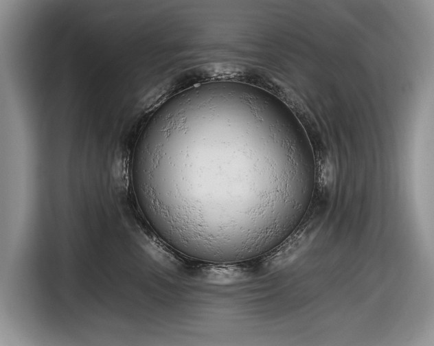 X0000116660666200912211508