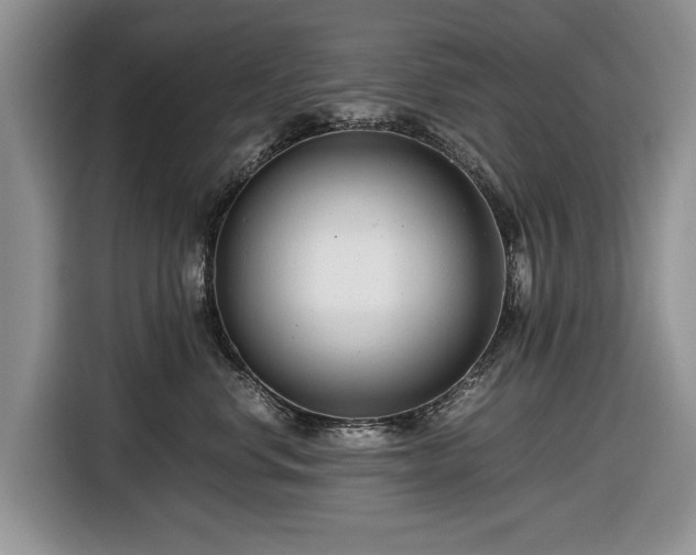 X0000116660668200912211508