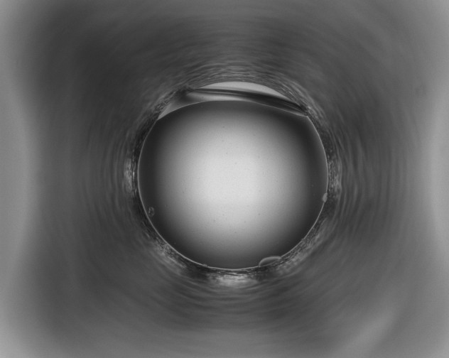 X0000116660669200912211508