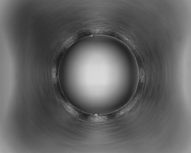 X0000116660670200912211508