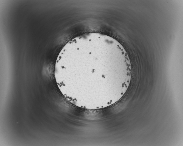 X0000116660672200912211508