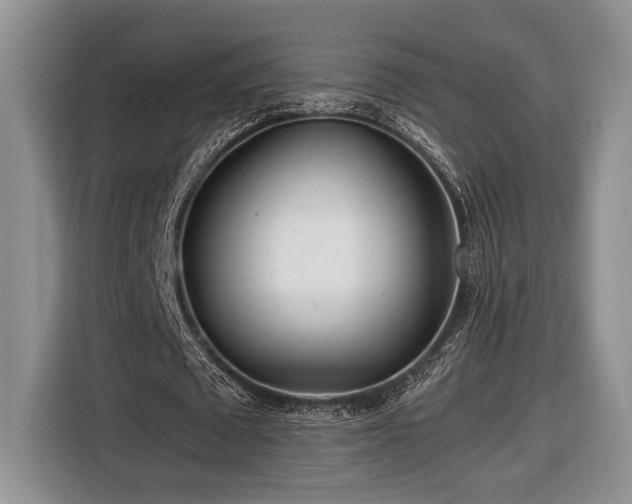 X0000116660673200912211508