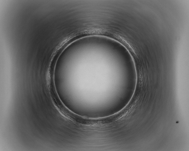 X0000116660674200912211508