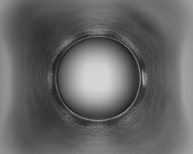 X0000116660675200912211508