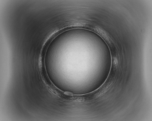 X0000116660676200912211508