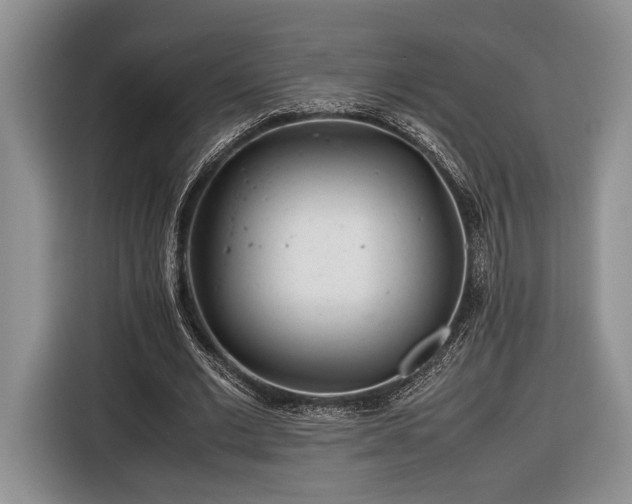 X0000116660677200912211508