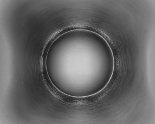 X0000116660678200912211508